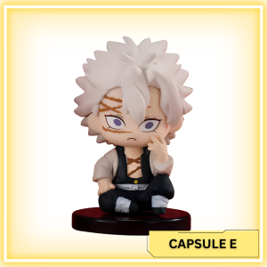 [Capsule E] Sanemi Shinazugawa